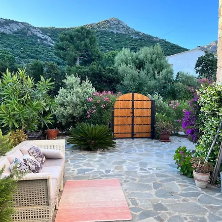 Corsica Sant Ambroggio House Of Blanche Lumio (Corsica)